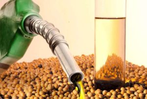 Alta de custos de combustíveis e fertilizantes pressiona governo a rever mistura de biodiesel