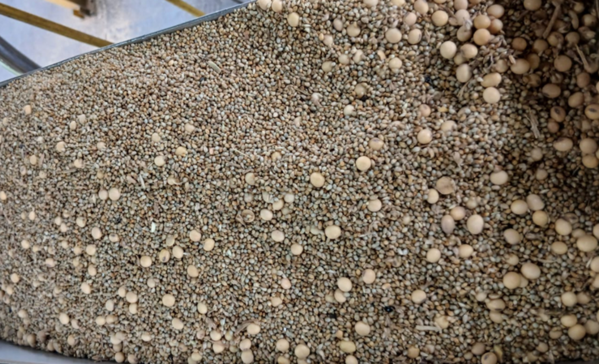 Fiscalização identifica fraude em carga de soja destinada à exportação