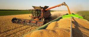 FAEP alerta para o risco da falta de diesel para o agro