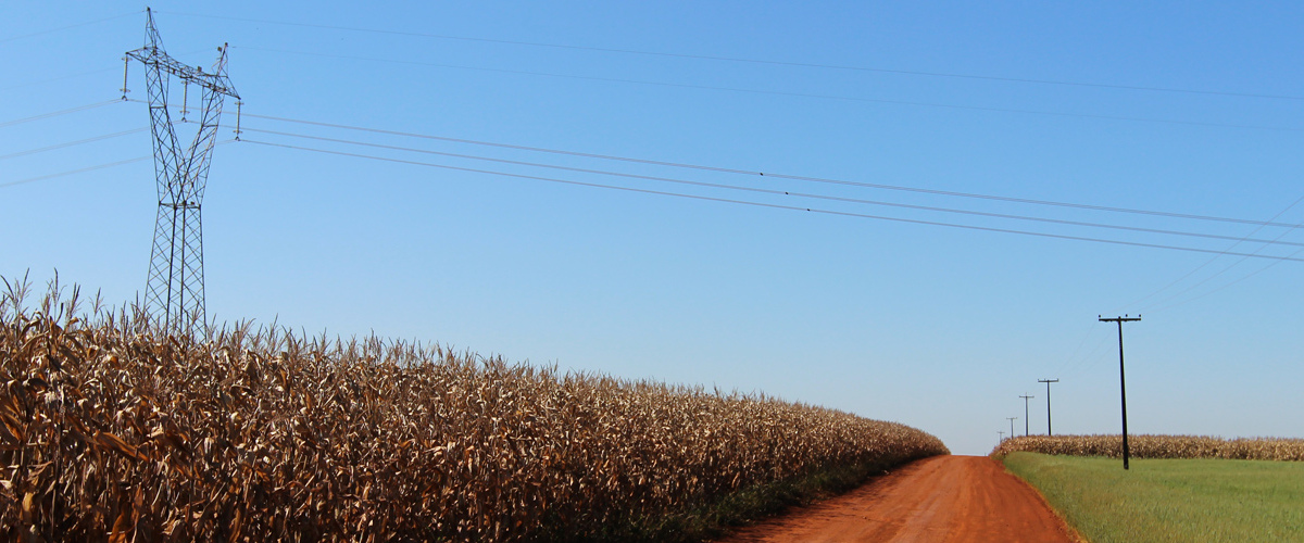 Projeto de Lei repara produtor rural por perdas por falta de energia elétrica