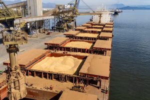 Governo recua em regra de inspeção e tenta destravar exportações de soja para a China