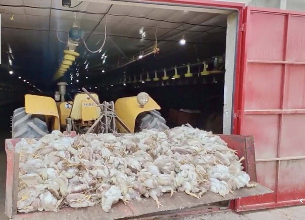 Semana marcada por mais perdas por falta de energia