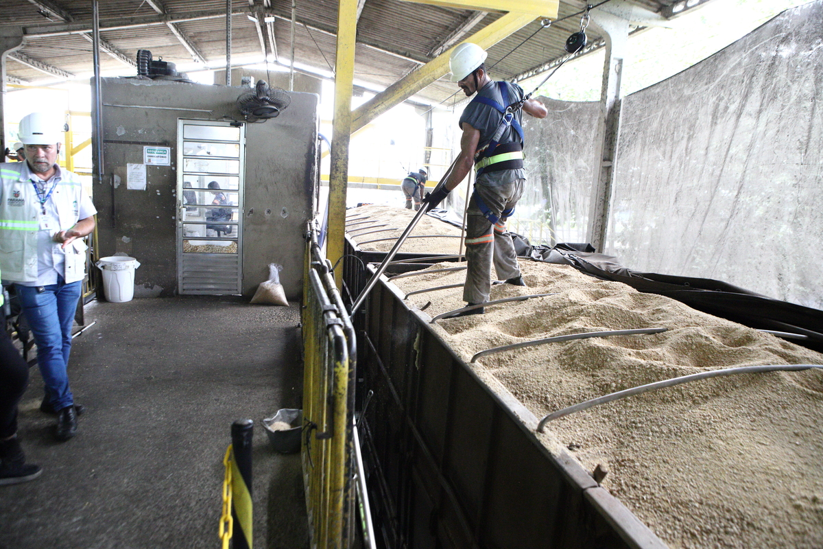 Grãos premiados: logística e fiscalização elevam exportações paranaenses