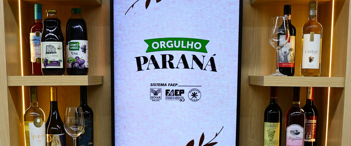 Estado avança para se tornar referência na produção de vinhos