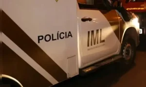 Homem de 65 anos morre após ser atacado por abelhas