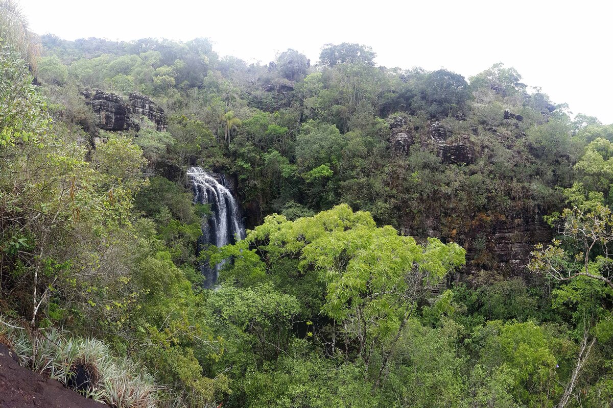 BRDE destinará R$ 3,5 milhões a projetos de sustentabilidade