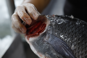 Semana Santa: Fiscalização atua para evitar fraudes e problemas no pescado