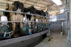 Cenário atual projeta aumento na remuneração do leite