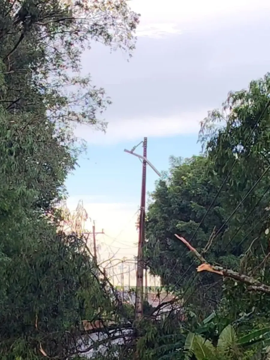 Fortes ventos causam interdição de rodovia