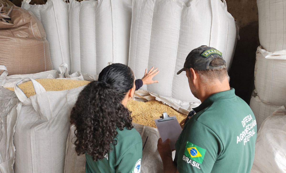 Ação apreende mais de 1,4 mil toneladas de sementes irregulares