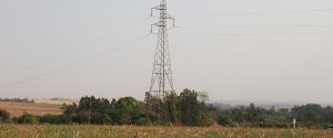 Concessionárias serão obrigadas a podar vegetação em áreas rurais
