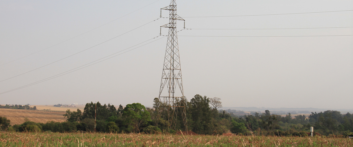 Concessionárias serão obrigadas a podar vegetação em áreas rurais
