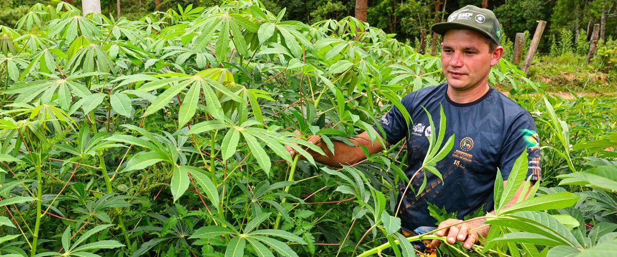 ATeG transforma gestão e amplia resultados nas propriedades rurais