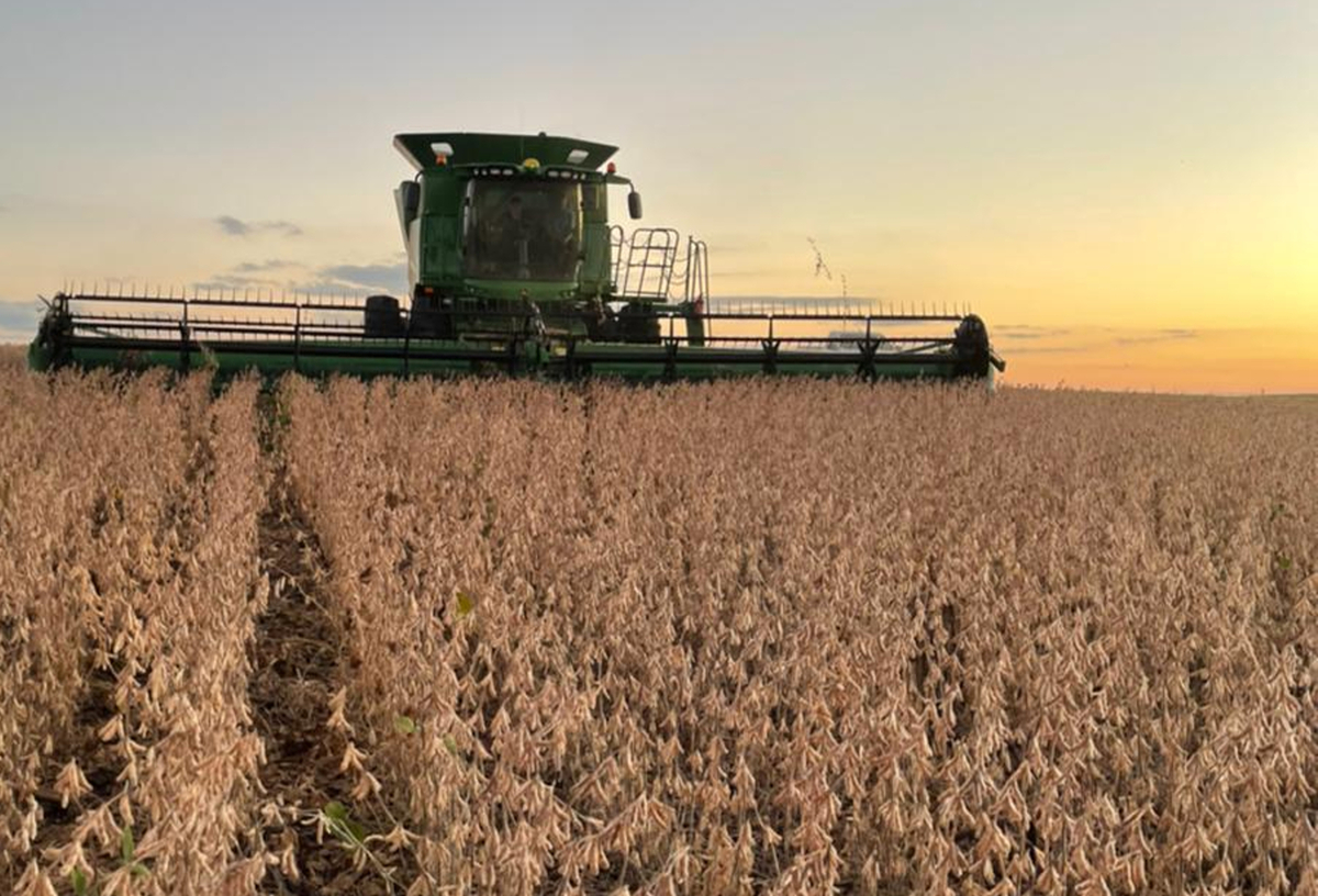 Investigação: Dumping em importações de proteína de soja