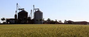 FAEP discorda da tabela 2026 de Valor da Terra Nua