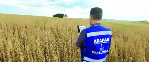 Indicativo de greve na Adapar preocupa FAEP
