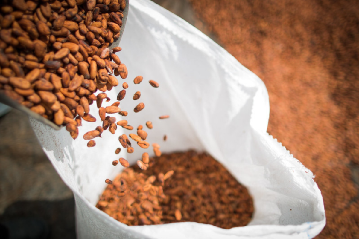 CNA: Projeto define regras para produtos derivados de cacau