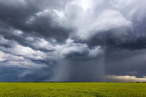 Clima derruba produtividade da soja