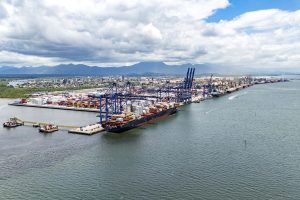 819 mil toneladas de frango saem pelo Porto de Paranaguá