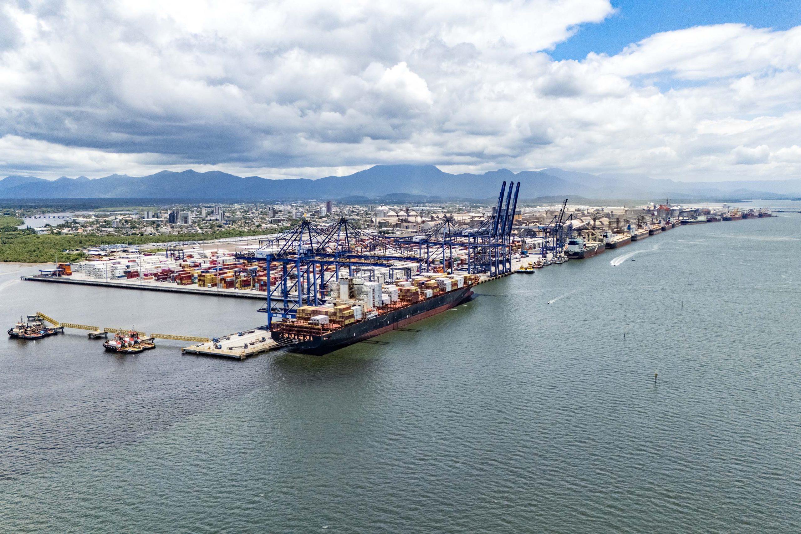 819 mil toneladas de frango saem pelo Porto de Paranaguá