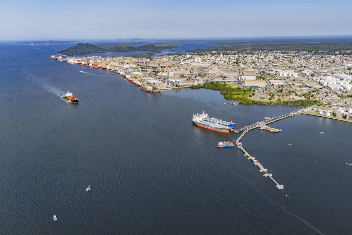 Porto concentra 70% das exportações brasileiras de óleo de soja