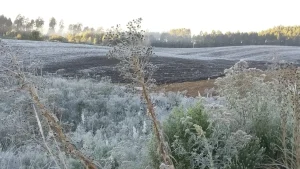 Estado tem segundo dia com temperatura abaixo de zero
