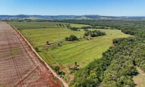 Itaipu compra mais uma área para assentar indígenas