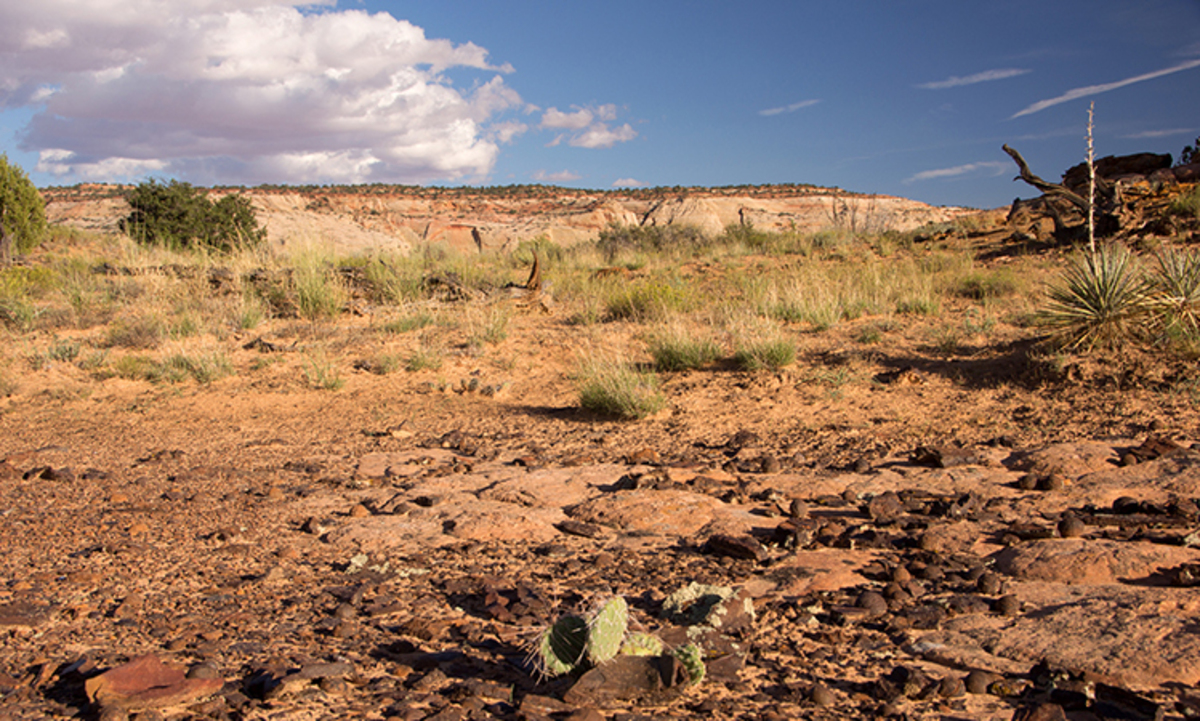 Brasil tem 28 milhões de hectares prontos para conversão produtiva