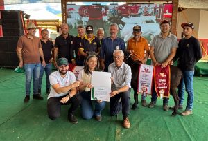 Homologação da raça Berganês amplia opções para produção de carne ovina no país