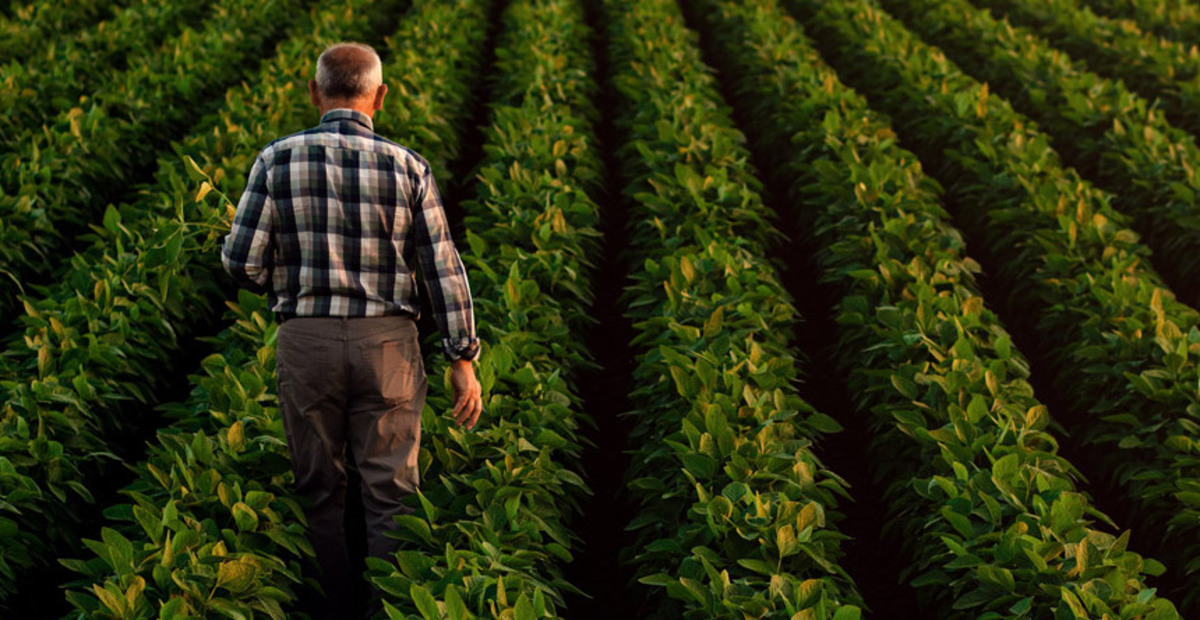 Endividamento de R$ 10,8 bi coloca agro do PR em risco, alerta FAEP
