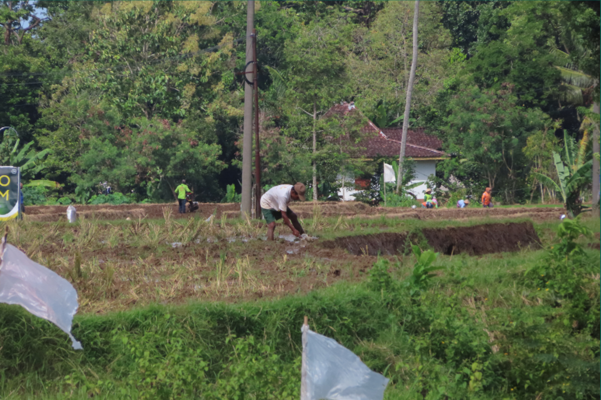 CNA/Cepea apontam recorde na população ocupada no Agro