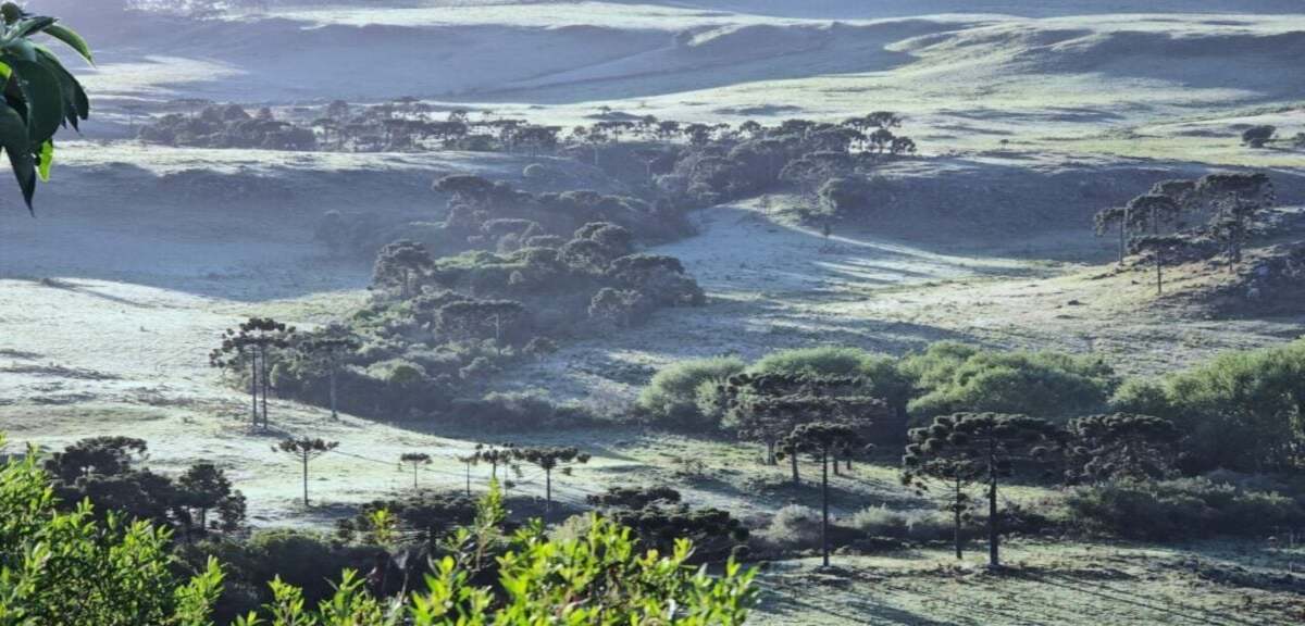 Frio intenso avança e Brasil pode ter neve neste fim de semana