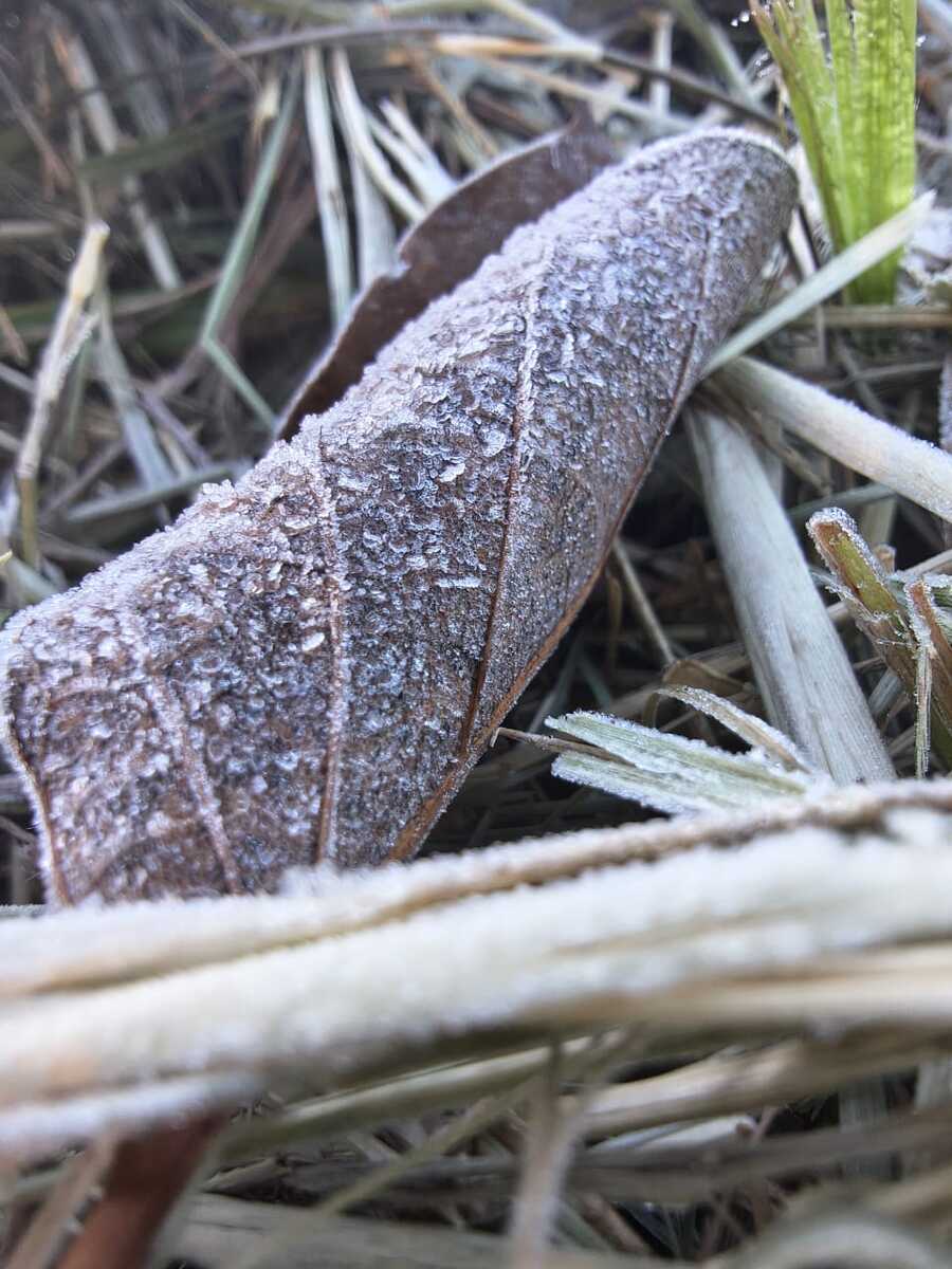 Sul do país registra frio intenso e temperaturas abaixo de zero