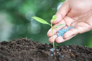 Fertilizantes são equiparados a minerais críticos
