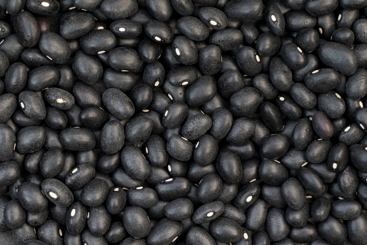 Cotações Agropecuárias:  Cotações, sobretudo do feijão preto, seguem em alta