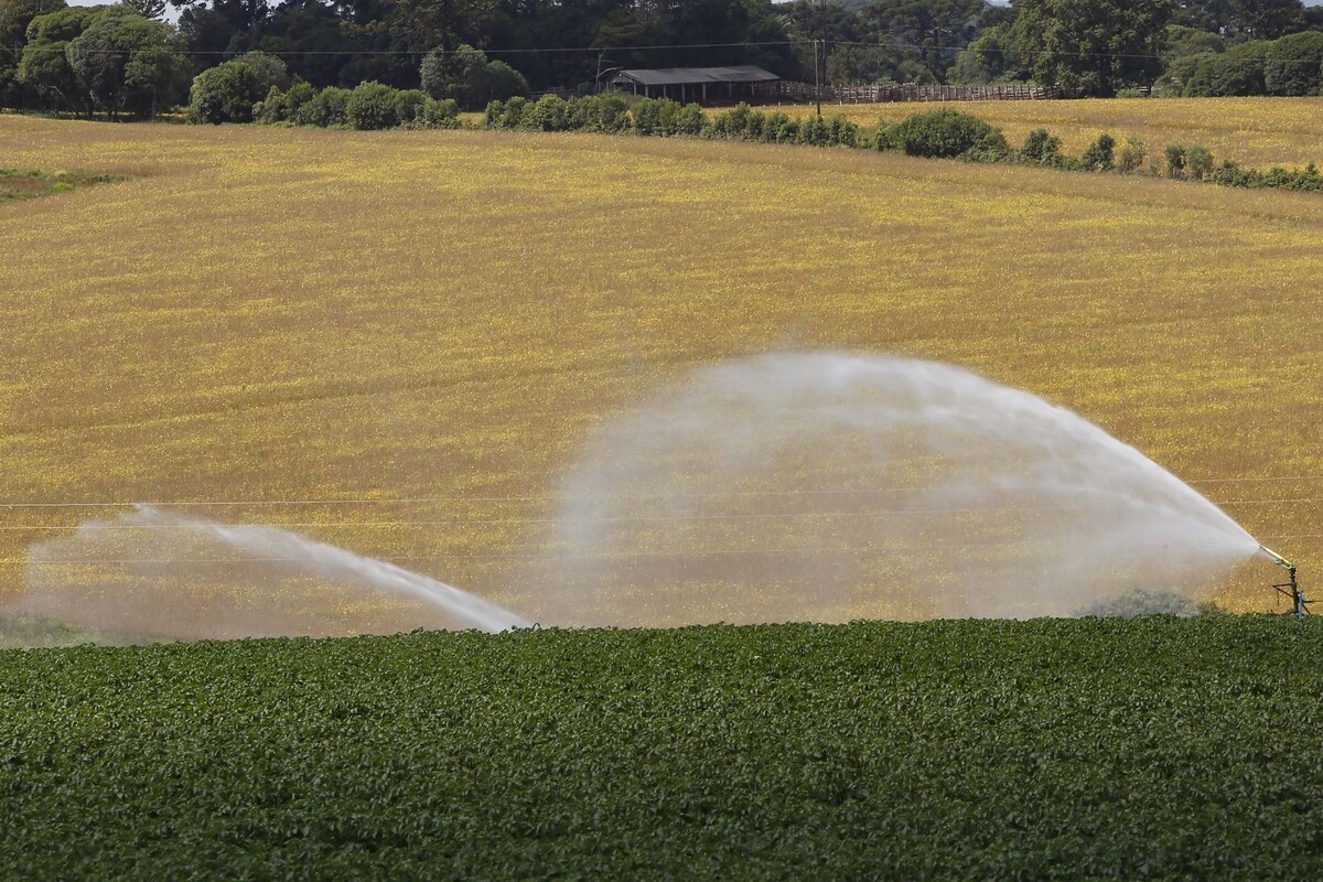 ICMS zero para produtos agropecuários até 2026