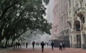 Os próximos dias serão de muita umidade e nevoeiros
