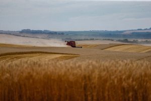 Soja e milho impulsionam Estado com estimativa de 39,1 milhões de toneladas