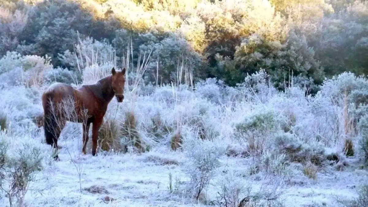 Onda de frio começa com temperaturas abaixo de zero
