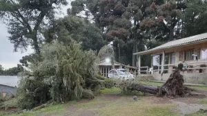 Tempestades deixam mortos e desaparecidos no Sul