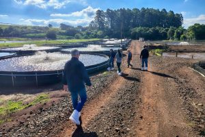 Adapar inicia projeto de biosseguridade na produção de tilápia com instituto norueguês