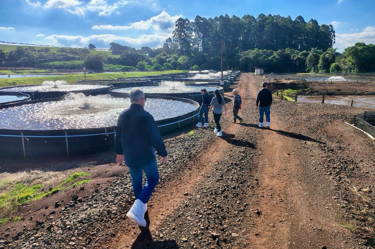 Adapar inicia projeto de biosseguridade na produção de tilápia com instituto norueguês