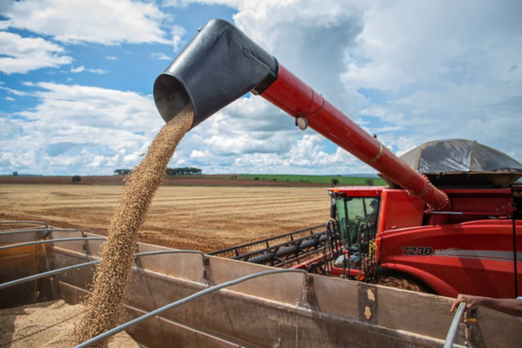 Cotações Agropecuárias: 2ª safra e cautela de compradores pressionam preços do feijão