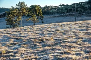 Prepare-se para o maior frio até agora!