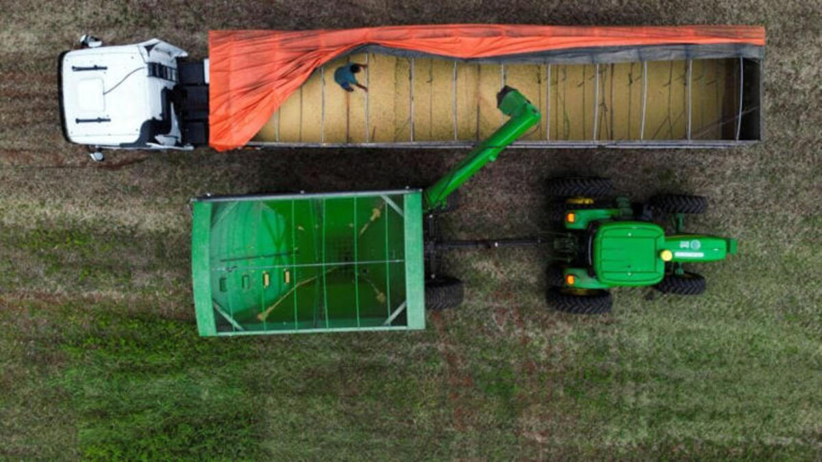 Inadimplência no agro atinge 8,2% no fechamento de 2025