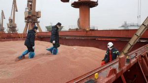 Importação de soja pela China em maio avança na oferta