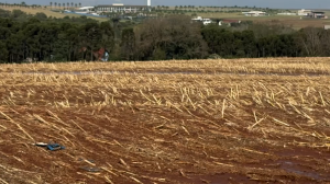 Granizo transforma cenário de cidade
