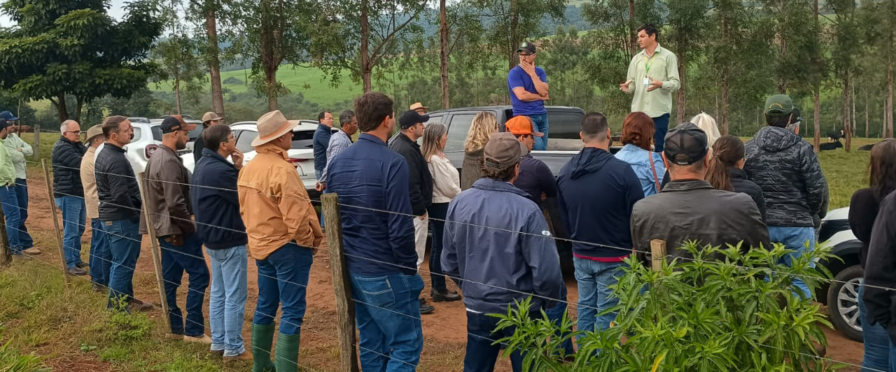 Conhecimento e gestão impulsionam Dia de Campo da Pecuária Moderna