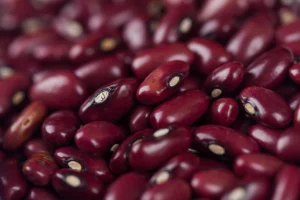 Cotações Agropecuárias: Quebras de safra sustentam valorização do feijão em 2026