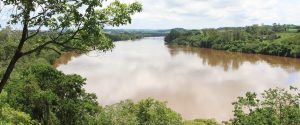 Novo decreto prevê pagamento por serviços ambientais ao agro